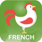 french vocabulary - awabe android application logo